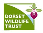 Click for information from the Dorset Wildlife Trust website