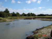 The lake.  Click on image to enlarge it